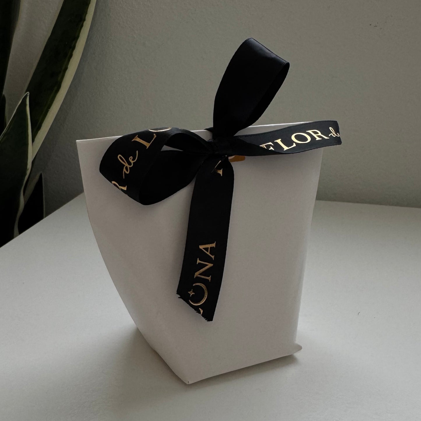 mystery bag